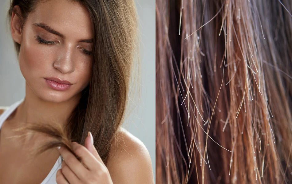 Damaged hair showing frayed and split tips
