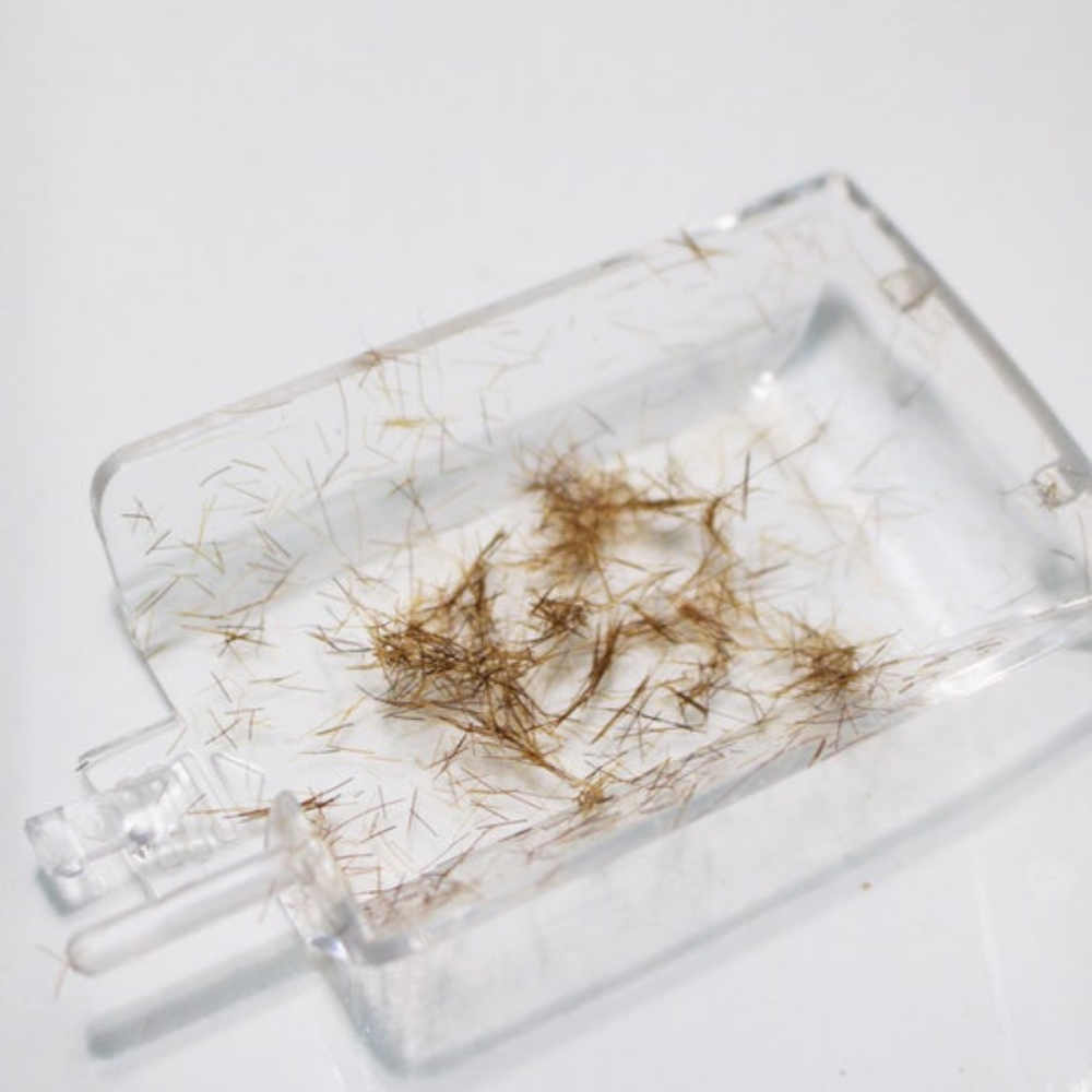 Split Ender Pro with visible split ends – collects frayed hair tips during use